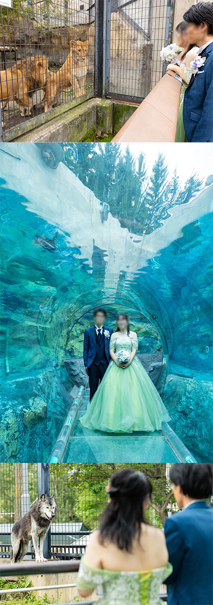 ブライズなび_卒花レポート